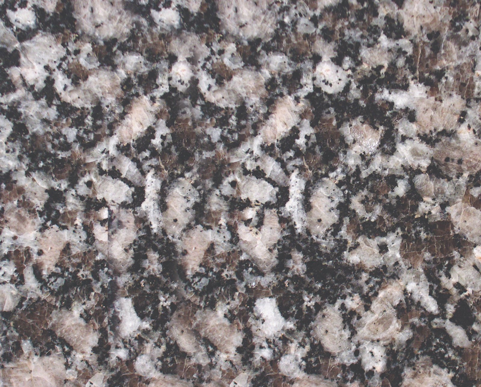 Moonlight Gray granite sample